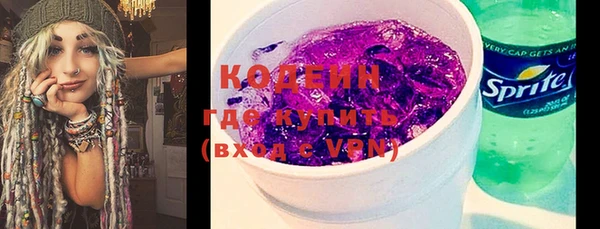 дживик Иннополис