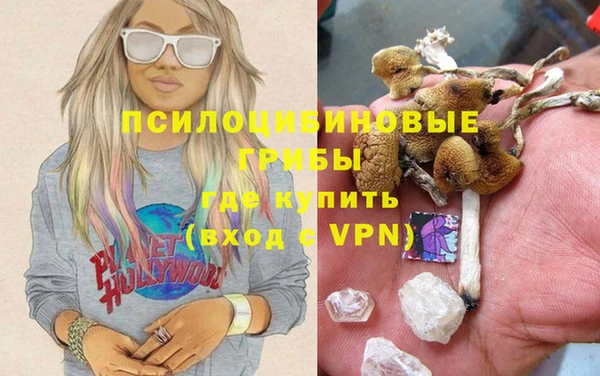 мяу мяу мука Каменск-Шахтинский