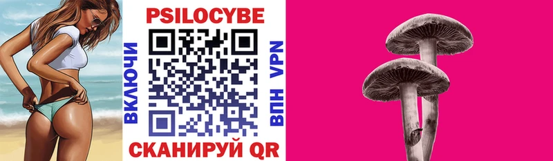 Купить где  Пугачёв  Галлюциногенные грибы мухоморы 
